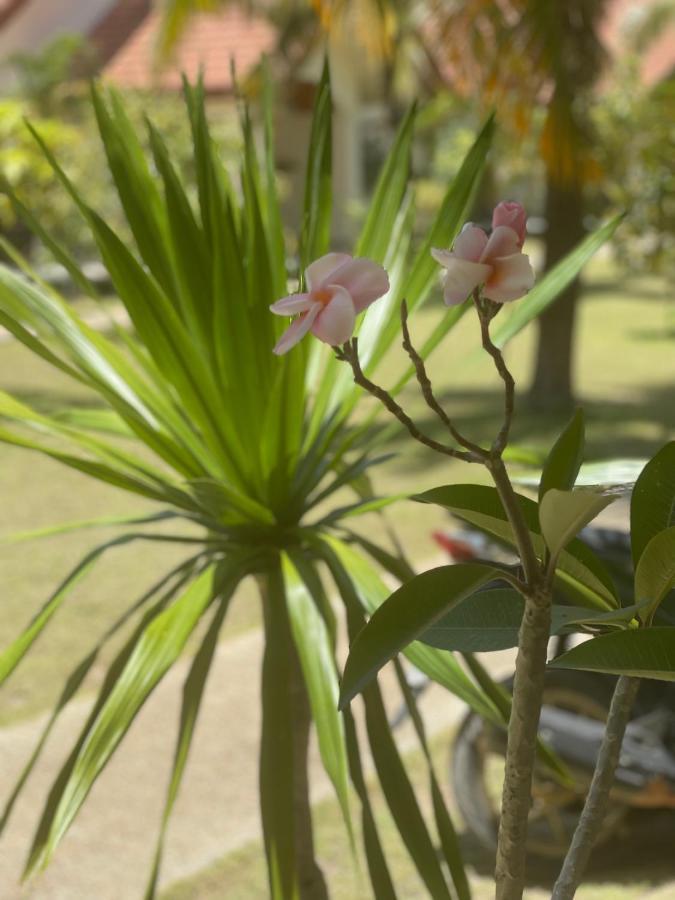 Paradis Villa A9, Koh Kho Khao Koh Kho Khao Island Eksteriør bilde